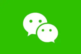 微信视频号年度小结：雷军“不务正业” 竟然有乐山大佛图片