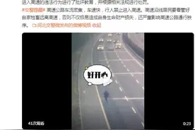 小羊不听话跑上高速公路，结果惨了图片