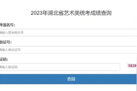 可以查分啦！湖北省公布艺术类统考一分一段表图片