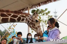 长沙动趣王国：新春趣游陪你过大年图片