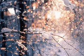 夜雨丨赵瑜：下雪是一种情结图片