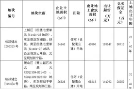 2023年杭州第一批集中出让宅地来了！13宗涉宅用地2月21日出让图片