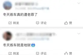 “看到这本驾照了吗？我的！”图片