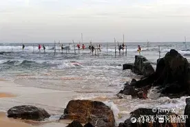 青未了|奇特的渔猎图片