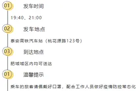泰安⇋肥城夜间定制线路开通图片