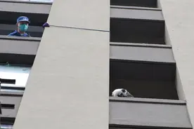 小猫“夹缝生存”？他们及时救援，守护“小生命”！图片