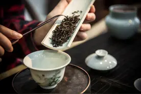 茶非遗档案 | 坦洋工夫：鲜纯清甘有“工夫”图片