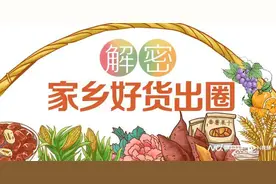 用整只不足百元的菠萝蜜缓解焦虑，电商百亿补贴再造国民水果图片