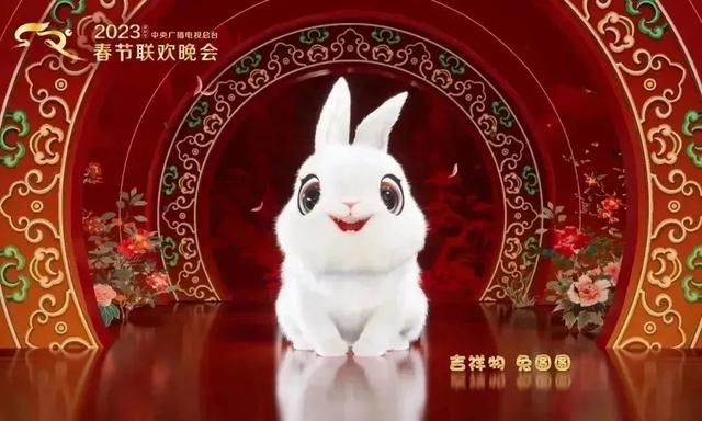 小兔子怎么饲养（兔年必看宠物兔日常饲养指南）