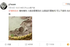 冲上热搜！记住它的样子！千万别吃！有剧毒！图片