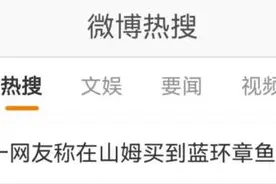 又是蓝环章鱼？网友称在超市买到，剧毒生物如何流入市场？图片