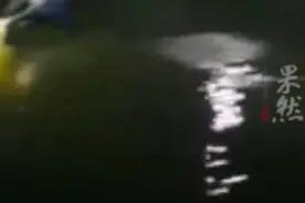 江西上饶一新手女司机倒车坠入水塘，和丈夫孩子一起溺亡图片