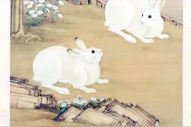 “野兔”终于上了生肖票图片