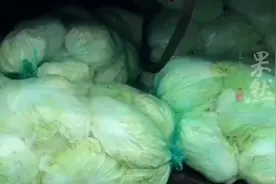 皮卡司机返乡花45块钱买一车白菜，走绿通来回省一千多过路费图片