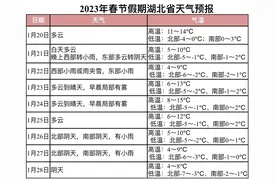 2023年春节假期湖北普通国省干线出行服务指南图片