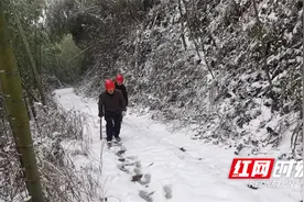 国网桃源县供电公司：雪后特巡 精准“把脉”线路状况图片