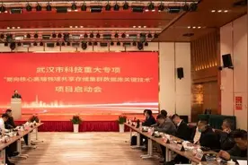 填补国产高端数据库市场空白！达梦数据科技重大专项启动图片