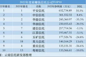 56家信托2022财报：净利排名生变、各指标承压，2023如何发力？图片