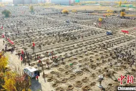 新疆北屯为何能成“美丽中国·深呼吸小城”？图片