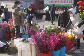 新春走基层丨京郊“万人早市”销量翻番 摆摊到年三十图片