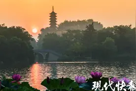 春节期间，镇江11家国有旅游景区免费开放图片