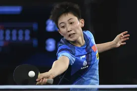 WTT常规挑战赛多哈站国乒收获四冠图片