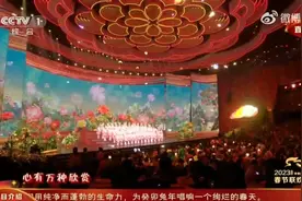 这届春晚算是把谐音梗玩6了！你最喜欢的梗是哪个？图片