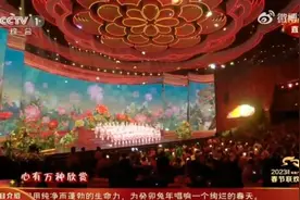 这届春晚把谐音梗玩6了，沈腾马丽贡献了俩图片