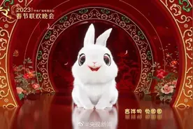 吉祥物“兔圆圆”三年前已注册为商标，“流氓兔”注册被驳回图片