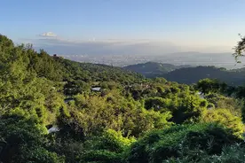 穿越海峡的新春祝福｜从台湾来上海近20年，他想念记忆里的奶奶图片