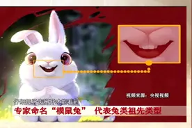 春晚吉祥物“兔圆圆”原型是“安徽模鼠兔”！图片