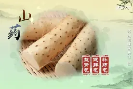 山药、百合、马蹄，教您巧用三种甘味的白色根茎来养生！图片