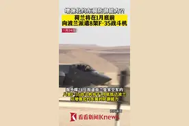 荷兰将在1月底前向波兰派遣8架F-35战斗机图片