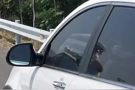 小灿说交通丨应急车道不能非法占用，但这种情况可以临时借道图片