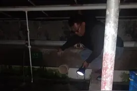 与出壳小海龟共度新春佳节图片