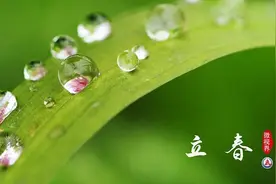 兔年健康月历来了！农历1月-12月，不同节气各有重点！收藏对照，健康一整年！图片