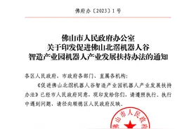 最高奖2亿！佛山出台“黄金8条”促进北滘机器人产业发展图片