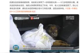 后备箱里爱意满满！儿子回老家探亲带上宠物狗陪伴父亲图片