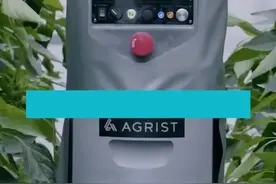 机器人缓解农场人力短缺 精准采摘甜椒还能自己换电池图片