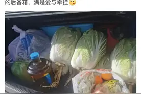 120斤面粉、10斤糖蒜……后备箱里塞什么？妈妈脑袋里有张excel表格图片