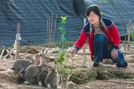 和2000只萌兔一起过兔年！湖南养兔人：春节每天都有人来买图片