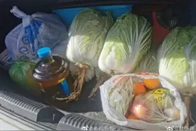 网友开晒返程后备箱，满满当当都是爱图片