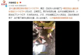 儿童在景区停车场捡几十个钉子，景区：已经派人去排查图片