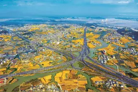 乡村振兴在行动丨浙江乐清：耕海牧渔 泥滩变“金滩”图片