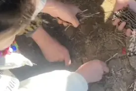 儿童在景区停车场捡几十个钉子，景区回应：已经开始排查图片