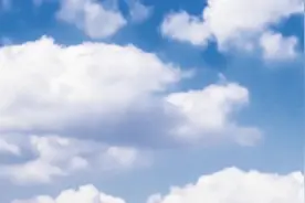 微山县驩城镇：这一年的新答卷图片