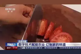 五分甜一分酸 订制家的味道图片