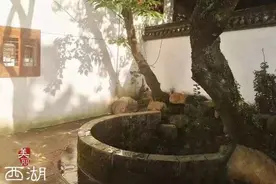 这些带“兔”字的浙江地名 你听说过吗？图片