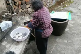 写点生活｜母亲请客记图片