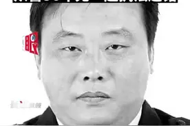 “对不起，我又食言了”……图片
